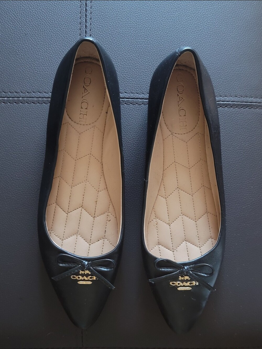 COACH Annabel Leather Ballet Flats, Size 6
